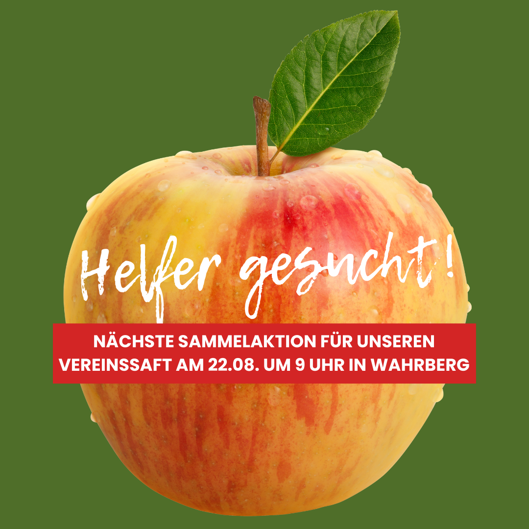 Apfelernte Fallbobst