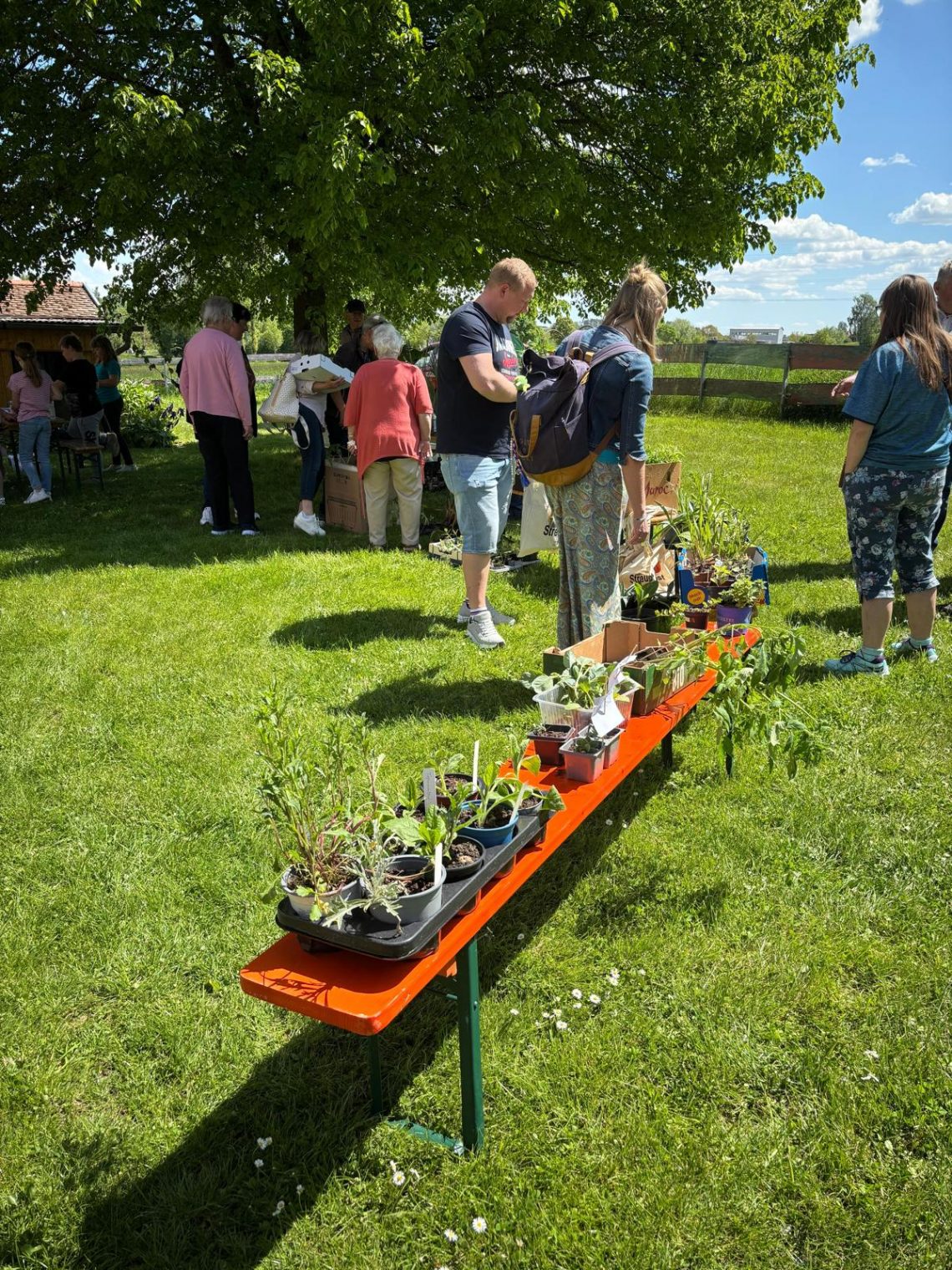 Obst- und Gartenbauverein Feuchtwangen